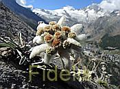 Nikon Z6 Nikkor 80-400mm